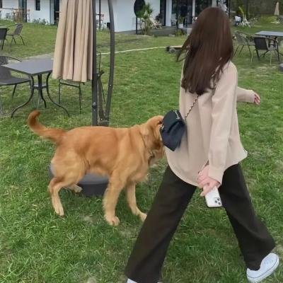 科学怪人之子